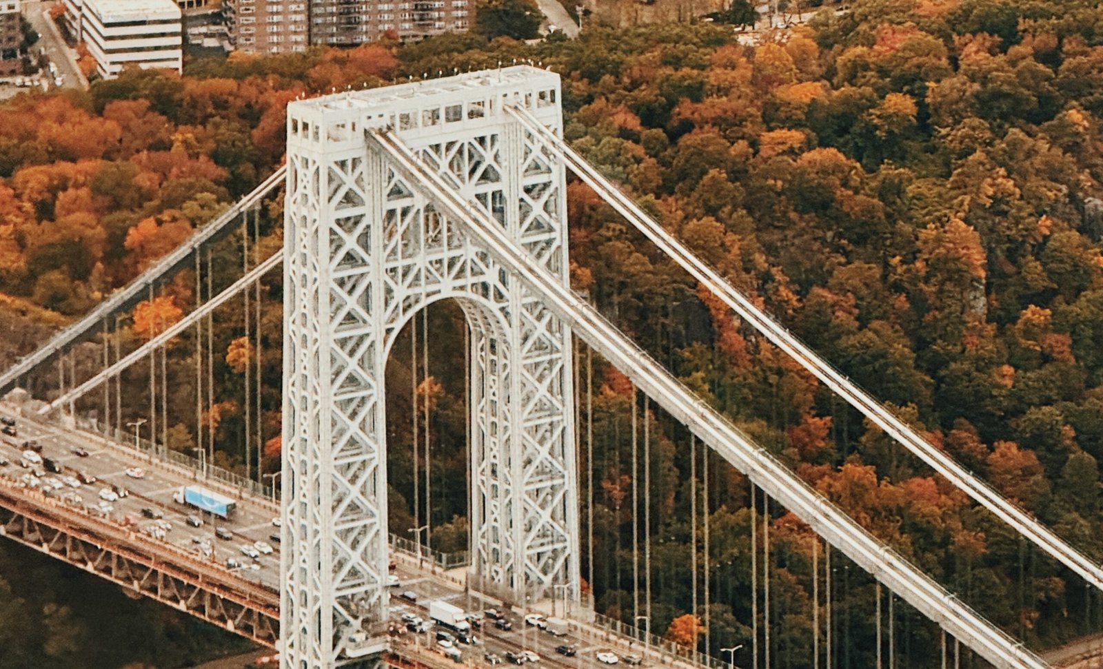 Fall Foliage Experience